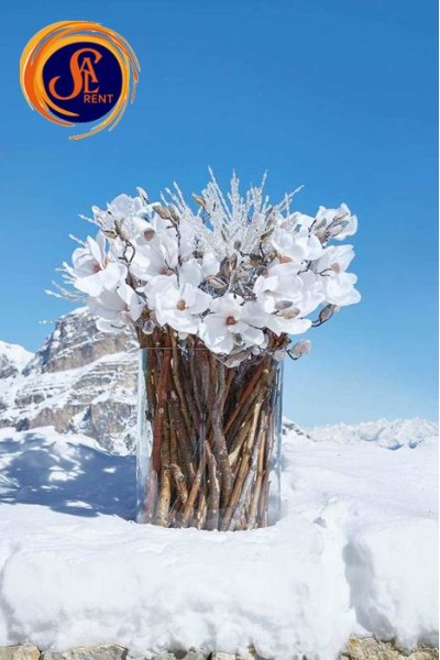 Гілки для композицій